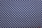 Preview: Designerbaumwollstoff Dots blau/weiß (10 cm)