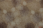 Preview: Designerbaumwolle Floral Elements Green Wood (10 cm)