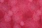Preview: Designerbaumwolle Floral Elements Shocking Pink (10 cm)