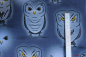 Preview: Jersey Grumpy Owls (10 cm)