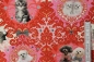 Preview: Jersey Miaou Dix (10 cm)