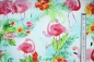 Preview: Designerbaumwolle "Tropicale"  (10 cm)