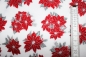 Preview: Designer-Baumwollstoff Holiday Charms Weihnachtsstern (10 cm)