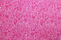 Preview: Stoff Swirly rosa (10 cm)