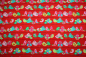Preview: Jersey Vogelparade rot (10 cm)