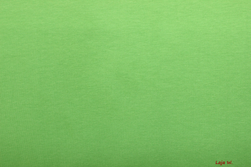 Stenzo Jersey grün (10 cm)