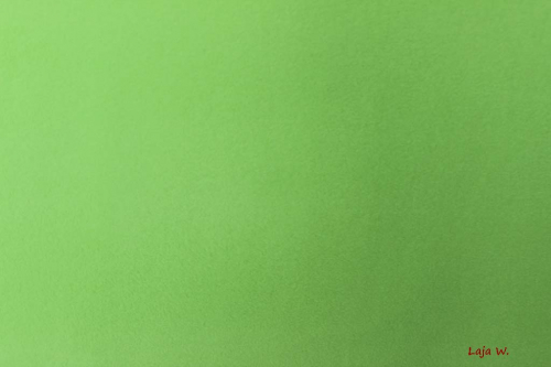 Microfleece Premium hellgrün (10 cm)