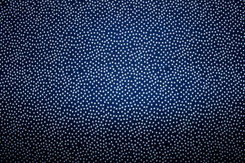 Designerbaumwolle Garden Pindot dunkelblau/weiß (10 cm)