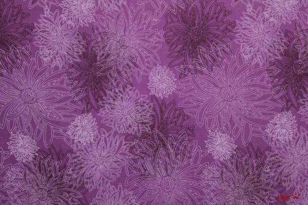 Designerbaumwolle Floral Elements Iris (10 cm)