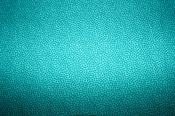 Baumwollstoff Dotty mint (10 cm)