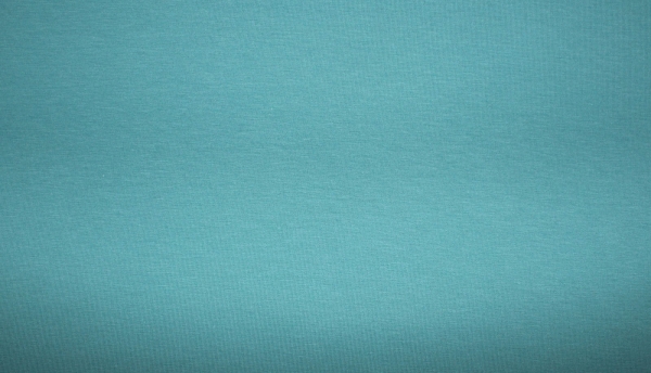 Jersey gedecktes mint (10 cm)