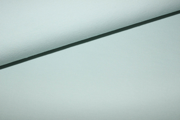 French Terry Liso  pastellmint (10 cm)
