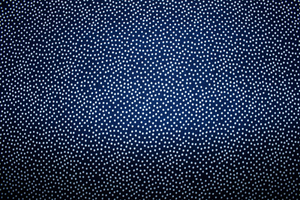 Designerbaumwolle Garden Pindot dunkelblau/weiß (10 cm)