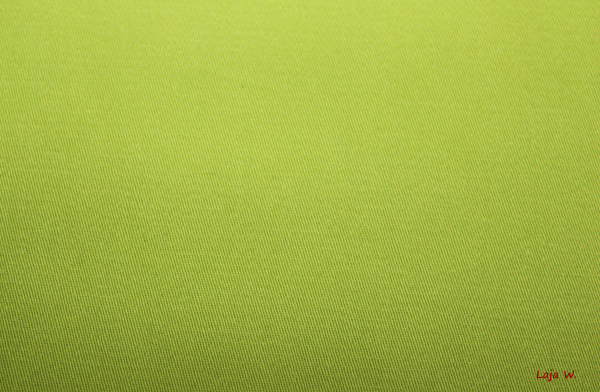 Stretch Baumwolle hellgrün (10 cm)